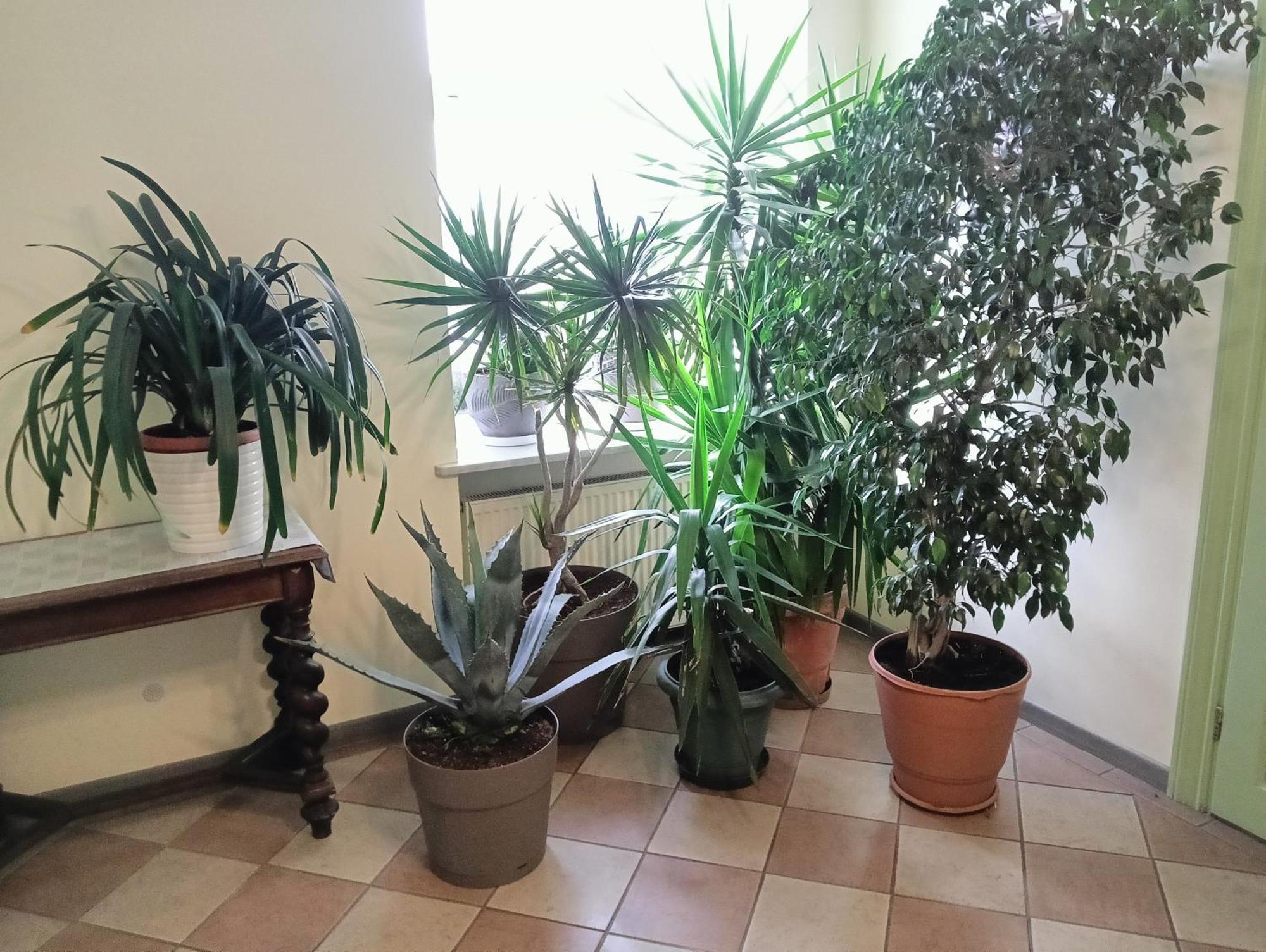 Hotel Sowa Elblag Kültér fotó